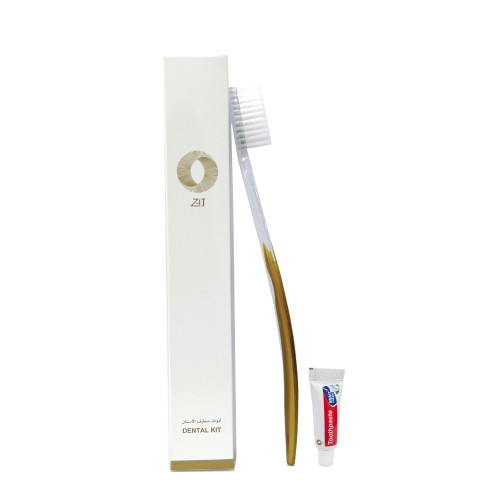 Dental Kit pack of 50
